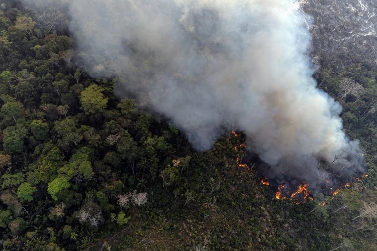 Foto colorida com vista aérea de floresta em chamas no Sul do Amazonas: temporada de queimadas, seca extrema e fumaça (Foto: Marizilda Cruppe / Greenpeace - 01/08/2024)