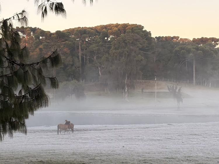 Gramado amanhece com geada, neblina e quase 0ºC; veja imagens