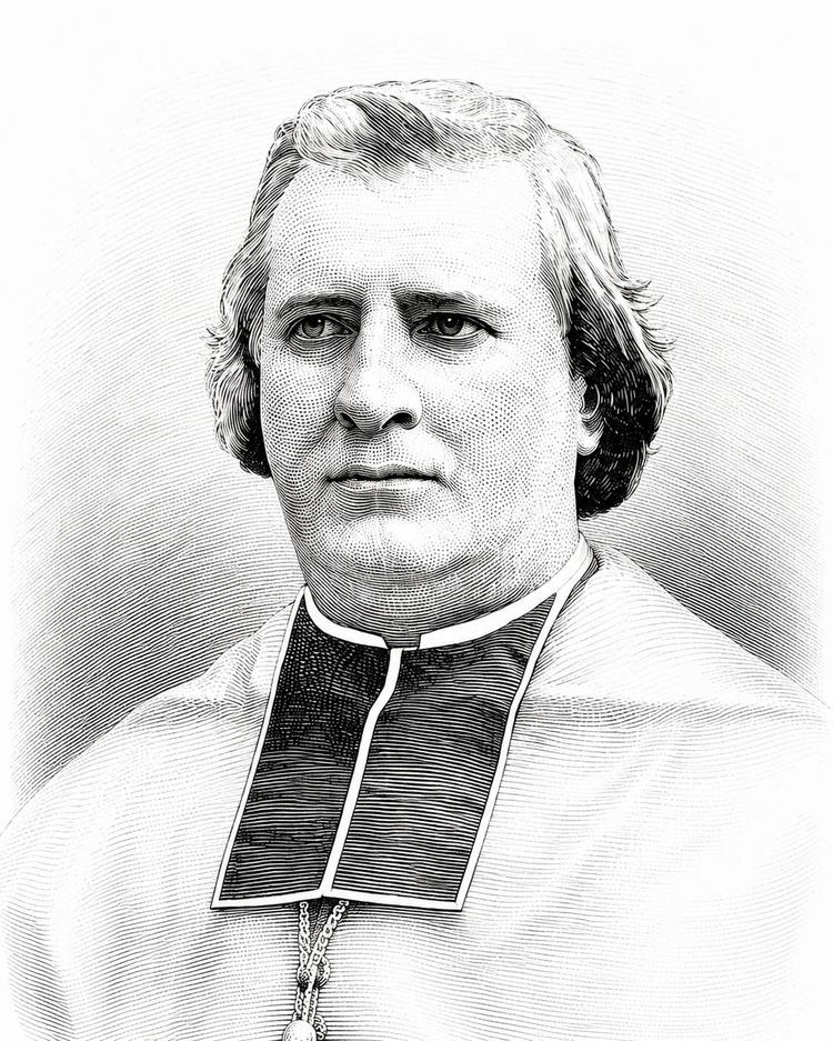 Mgr Fava