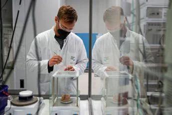Cancro polmone, ok Ue a lurbinectedina più atezolizumab in prima linea