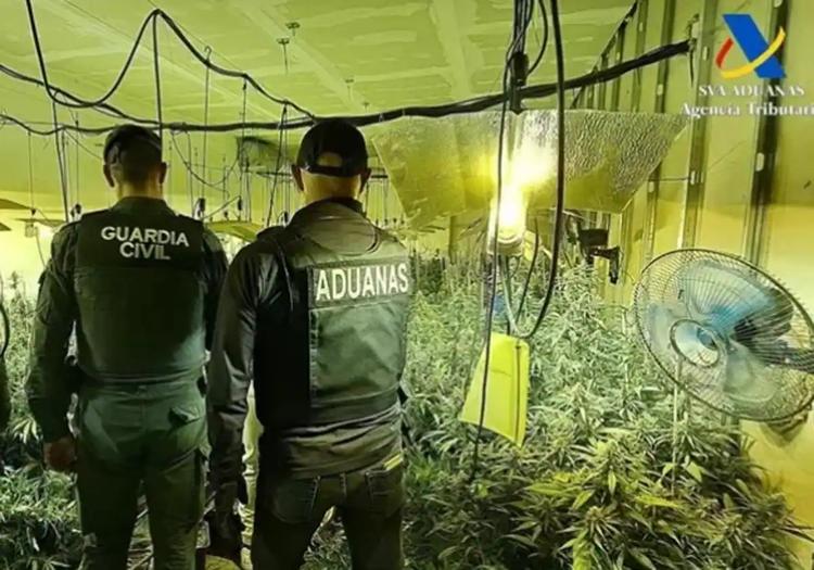 Siete detenidos tras la desarticulación de varios centros de producción de marihuana en la provincia de Granada