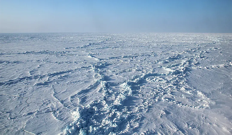 Arctic Winters Are Getting Warmer