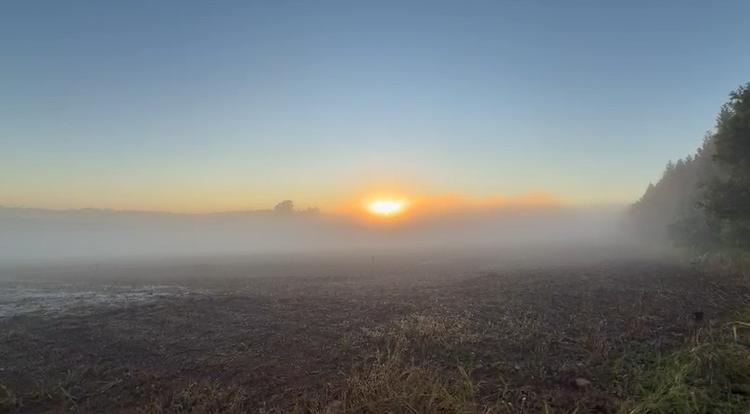 Frio continua no Sul e avança para o Sudeste no fim de semana; veja previsão para todo o país