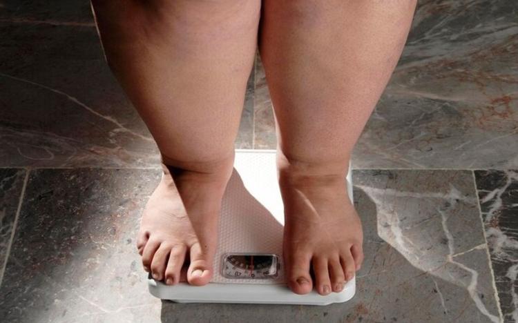 Suplemento com bactéria presente no intestino pode ajudar no controle do peso, mostra estudo