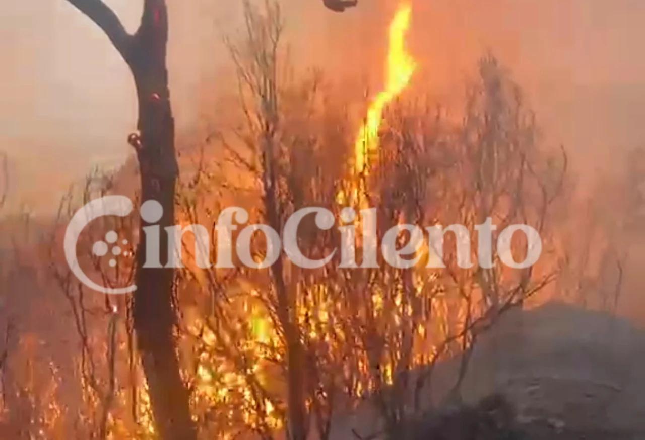 Incendio a Licusati: dal Comune di Camerota l’avviso per la stima dei danni
