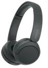 Sony WH-CH520