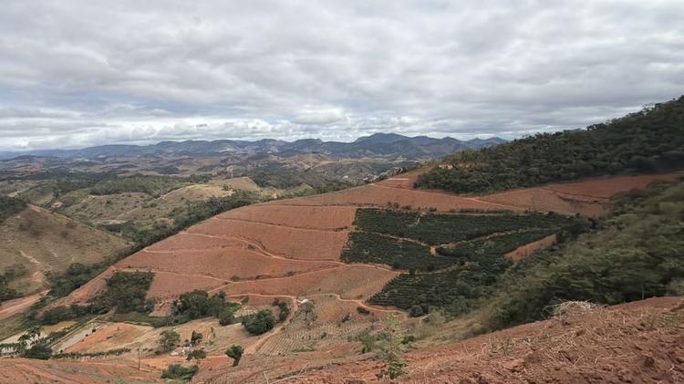 Operação contra desmatamento ilegal embarga área equivalente a mais de 100 campos de futebol no ES