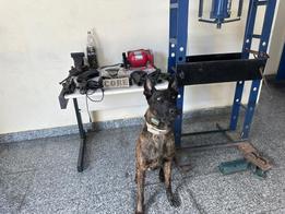 Polícia prende 4 suspeitos em operação contra quadrilha que atua em roubos e furtos de celulares no Rio