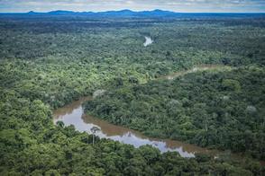 Desmatamento na Amazônia brasileira atingiu menor nível da série histórica em 2025, aponta MapBiomas