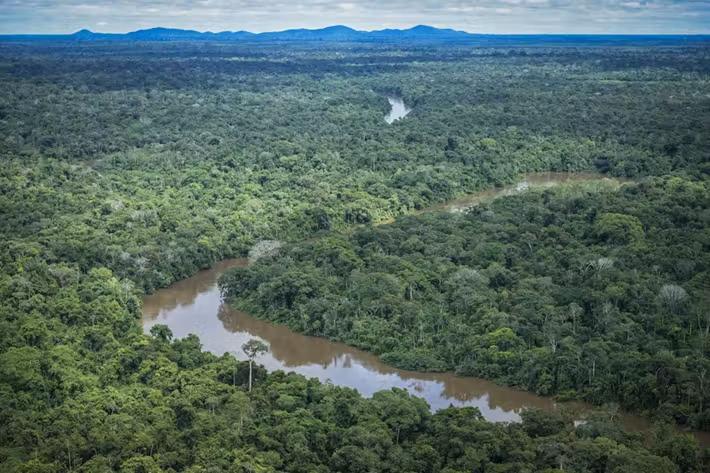 Desmatamento na Amazônia brasileira atingiu menor nível da série histórica em 2025, aponta MapBiomas