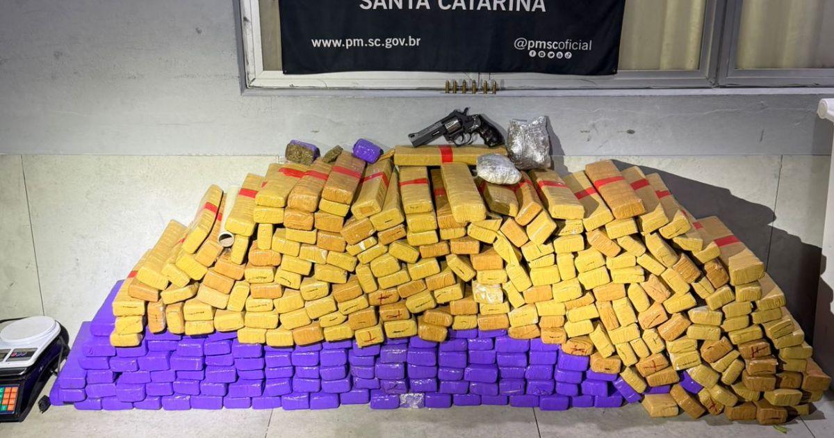 Operação policial apreende quase 190 quilos de maconha e prende grupo por tráfico em Itajaí e Navegantes