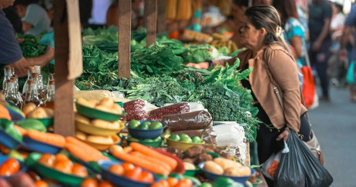 Guerra no Oriente Médio pressiona custos e leva cooperativas do agro a rever estratégias