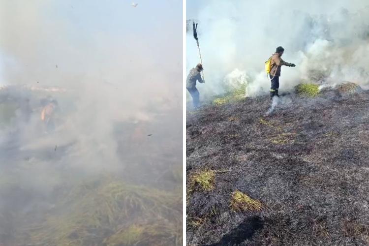 Queimada consome quase 46 mil m² de área de vegetação em Taubaté (SP); veja vídeo