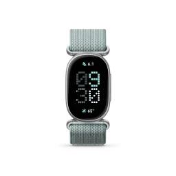 fitbit edge