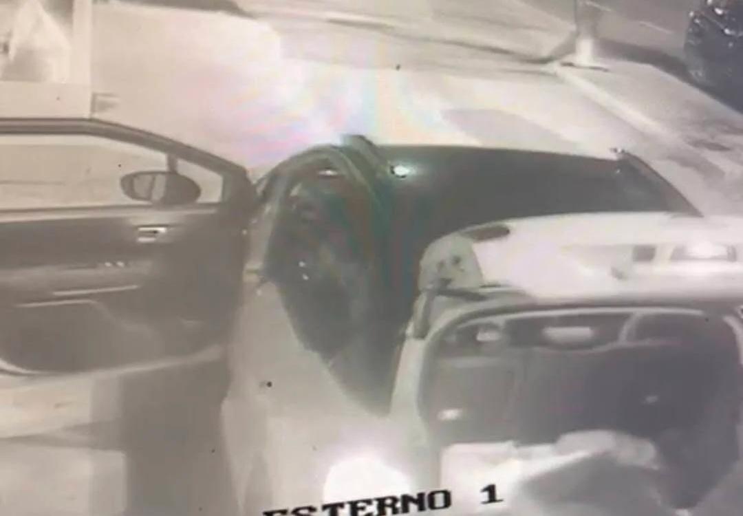 Abbandona due gattini ad Agropoli: la scena ripresa dalle telecamere
