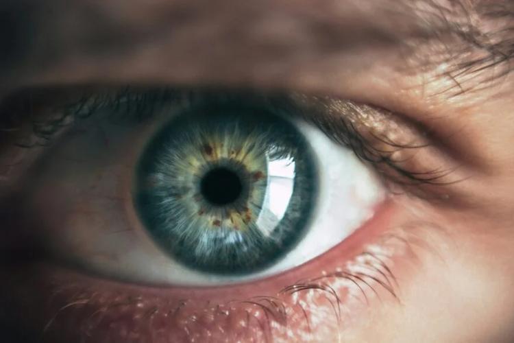 Les scientifiques sont formels&nbsp;: les personnes qui clignent des yeux quand vous leur parlez ne vous écoutent pas