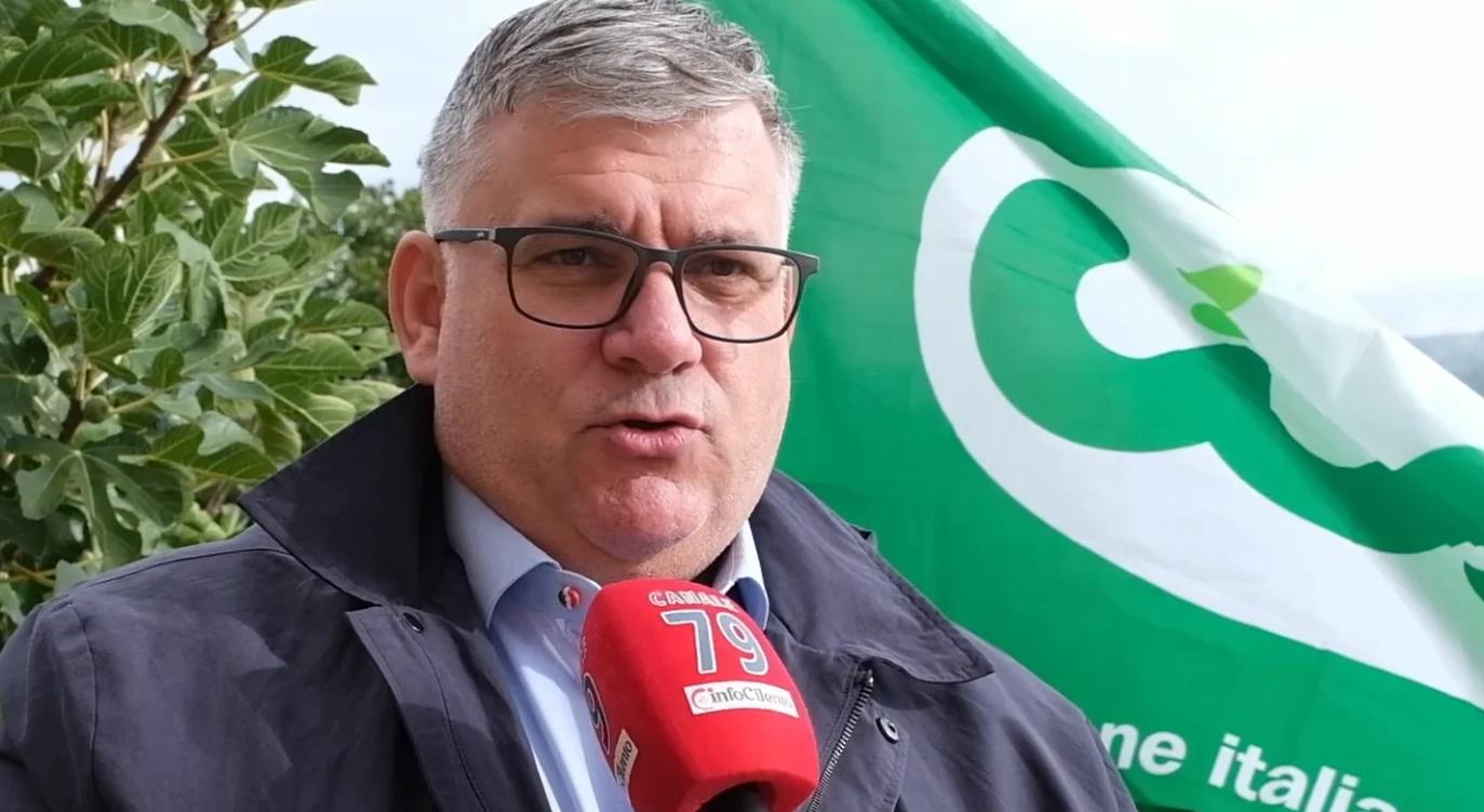 Aree interne del Cilento: agricoltura e sostenibilità per contrastare lo spopolamento