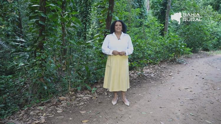 Vídeos do g1 e TV Bahia - domingo, 6 de semtembro de 2026