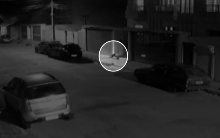 VÍDEO: Câmera flagra cachorro 'furtando' celular de adolescente e caso viraliza em MG