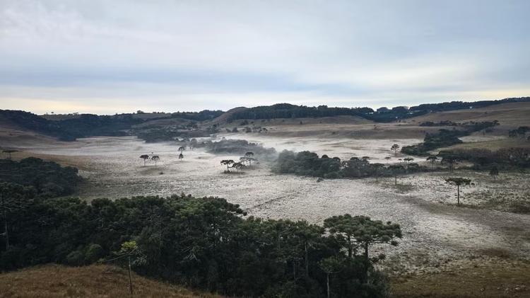 Vale dos Caminhos da Neve fica 'pintado' de branco em novo amanhecer gelado em SC; VÍDEO
