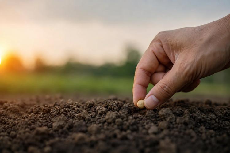 O peso da semente: O legado que você está plantando hoje é maior do que você imagina