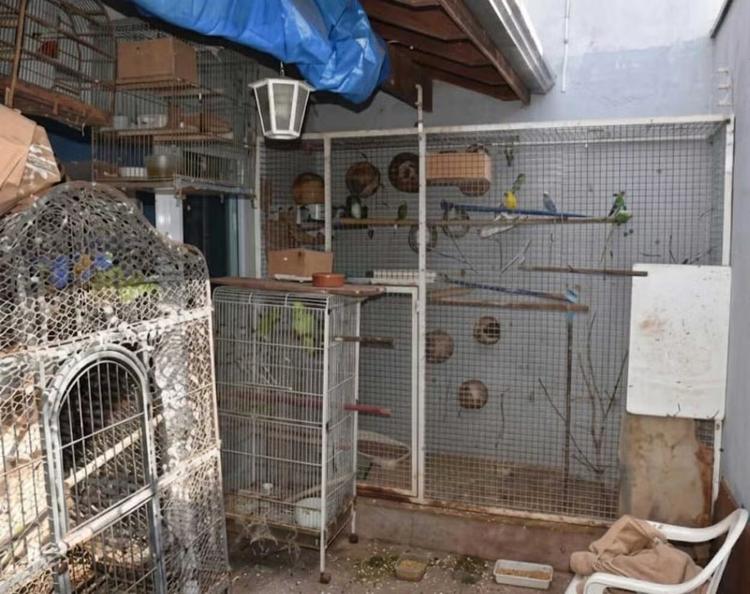 Homem é multado em R$ 272 mil por maus-tratos a 78 animais no interior de SP