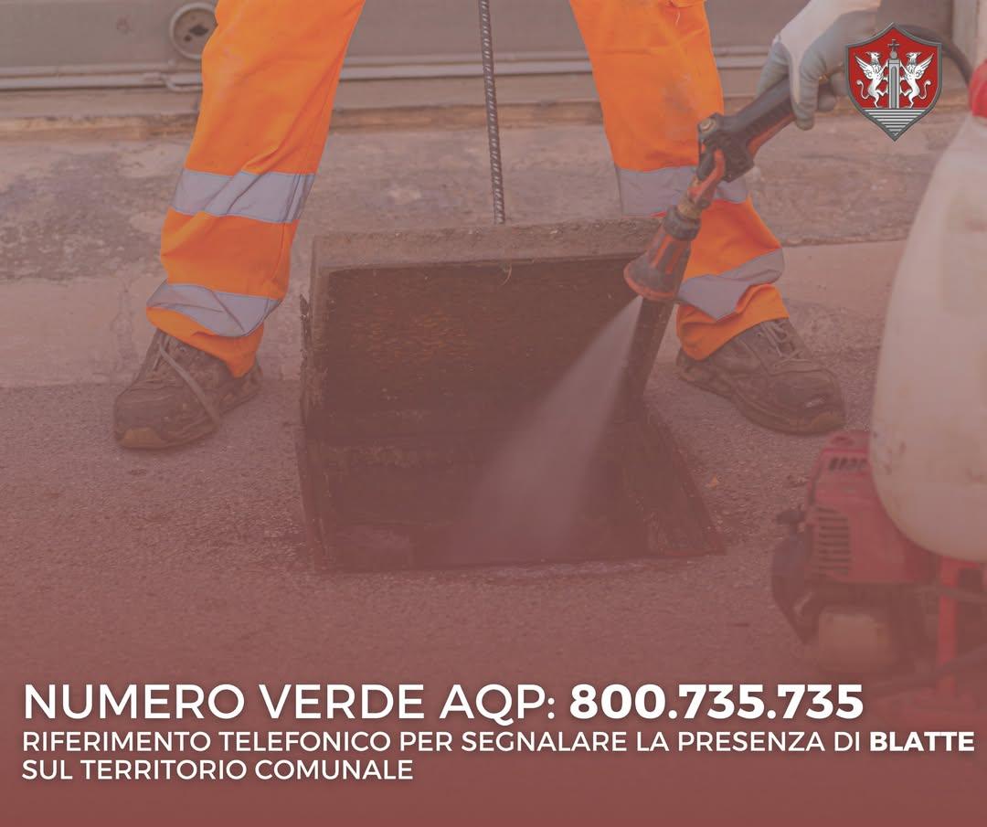 🪳 𝐒𝐞𝐠𝐧𝐚𝐥𝐚𝐳𝐢𝐨𝐧𝐞 𝐩𝐫𝐞𝐬𝐞𝐧𝐳𝐚 𝐝𝐢 𝐛𝐥𝐚𝐭𝐭𝐞 Il Comune di Rutigliano informa che è attivo il Numero Ve...