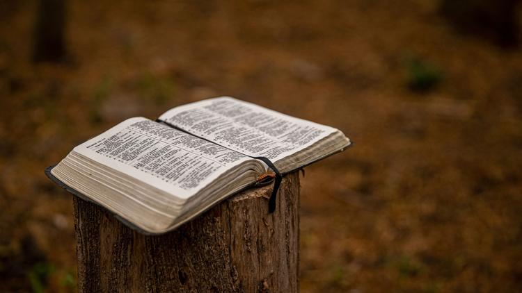 Anhelo por la Palabra de Dios