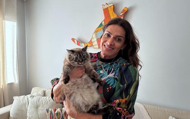 Dia Internacional do Gato: felina rejeitada após descobrir doença ganha segunda chance e vira ‘dona da casa’ em MG