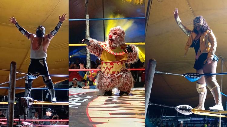 ¡Inesperado! Tinieblas Jr. y Alushe desatan la locura en la Arena Moustache con un final épico
