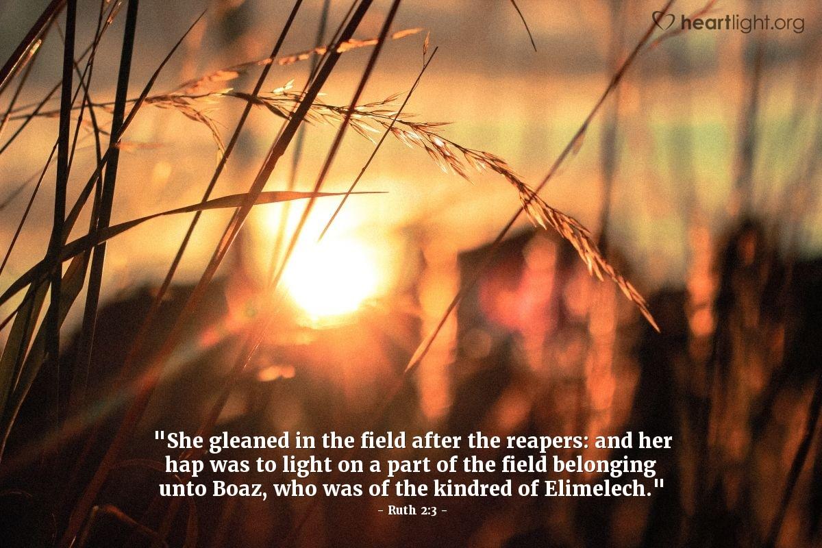 Ruth 2:3 - Evening Devotional for Oct. 25th