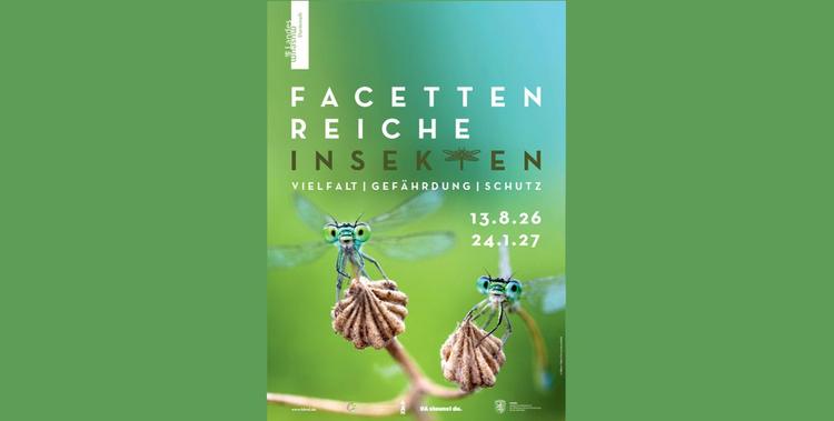  Flyer mit Insekten der Ausstellung Facettenreiche Insekten im Hessischen Landesmuseum Darmstadt