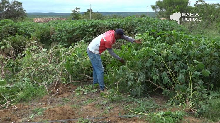Vídeos do g1 e TV Bahia - domingo, 19 de abril de 2026