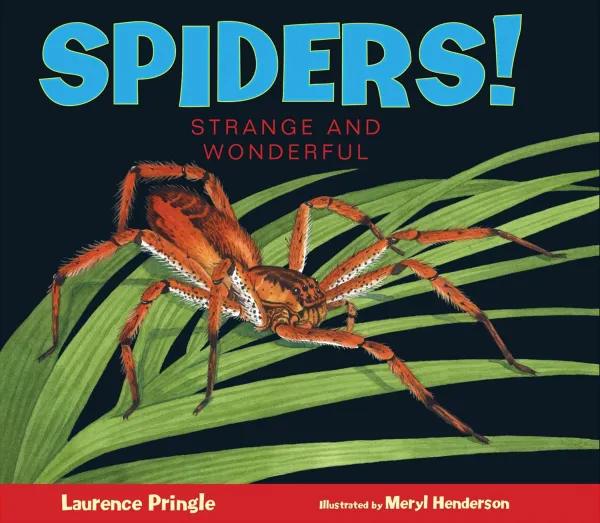 Book cover - big spider on a palm leaf.