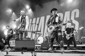 LES WAMPAS-Bocksons-07.06.2026 (11)