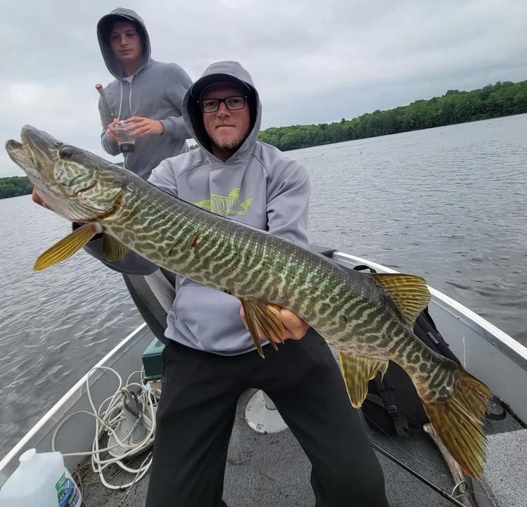 Tiger Muskie Fishing: Where, When, and How to Catch Tiger Muskies