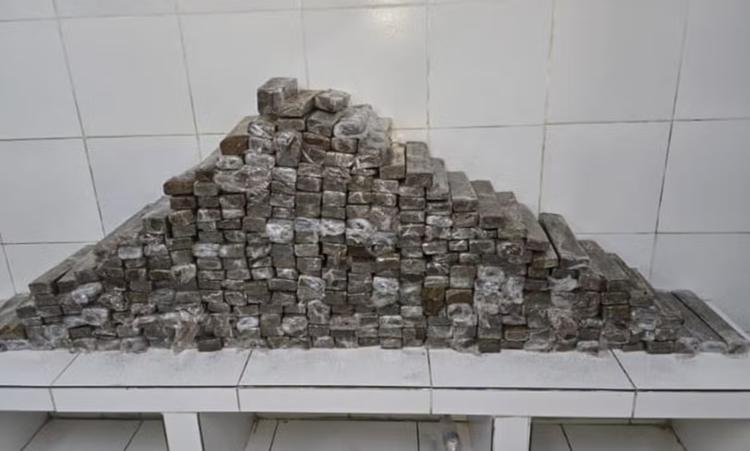 Dois homens são presos com 283 kg de maconha dentro de caminhão na PE-16, no Recife