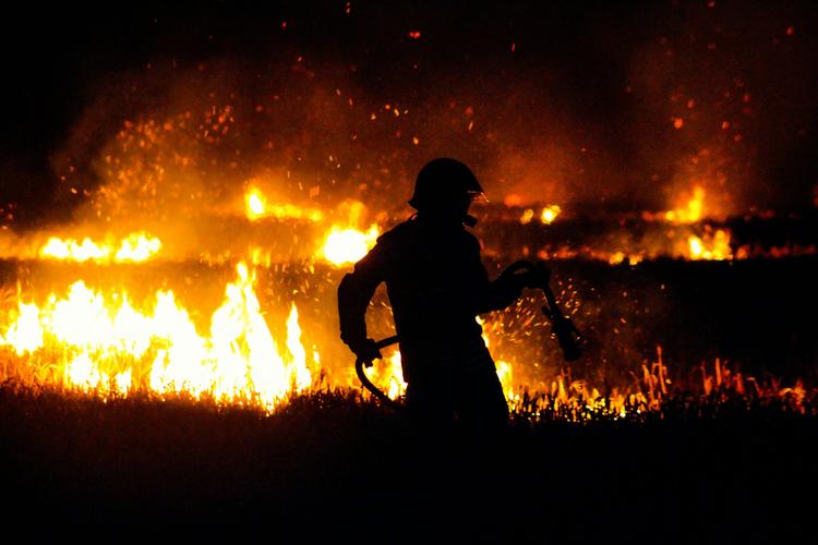 Feux de forêt : les pompiers appellent à la vigilance avant un été à haut risque