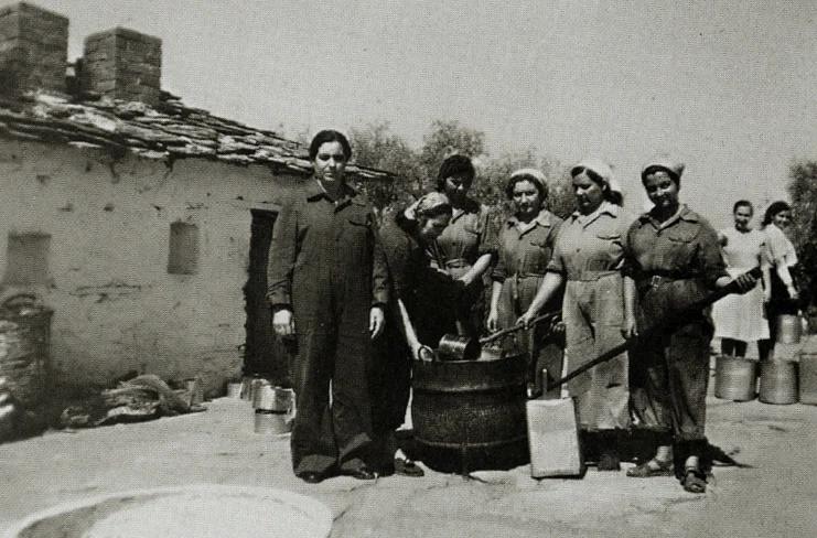 trikeri