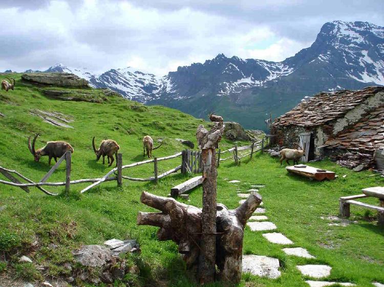 Ampliamento storico: il Parco Nazionale del Gran Paradiso si allarga inglobando altri comuni