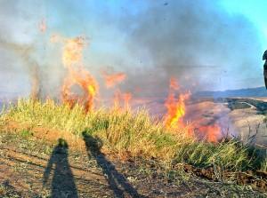 Incendio nell’area vicino alla Coop, Diego Sileoni: “Era un rischio segnalato da tempo”