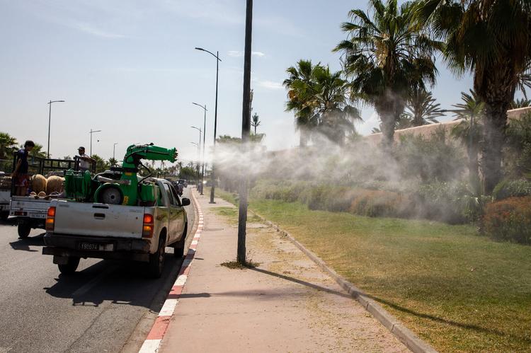 جماعة مراكش تواصل حملتها الاستباقية لمكافحة الناموس والحشرات عبر مختلف المقاطعات