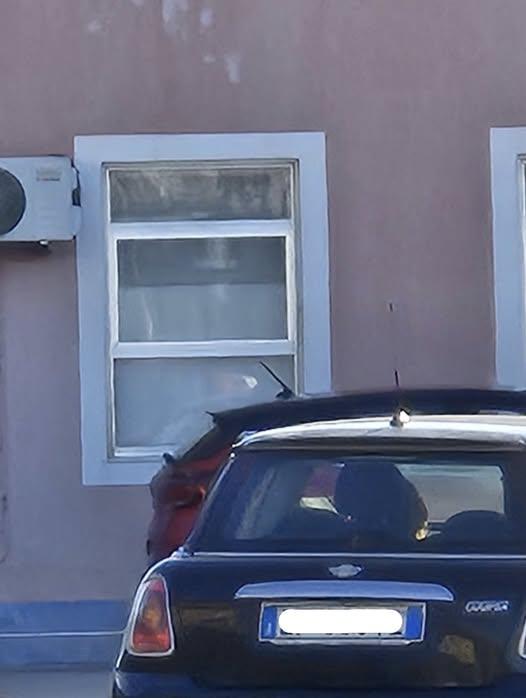 🚨 Gattini abbandonati❗️ 🐾 Ieri pomeriggio sul lungomare di Gliaca di Piraino sono stati trovati tre gattini abbandonat...
