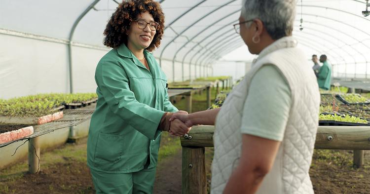 MP do agro permite renegociar R$ 100 bilhões em dívidas com juros de 5% a 12% ao ano
