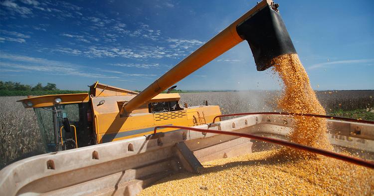 Soja brasileira vira alvo de disputa entre indústria e mercado chinês