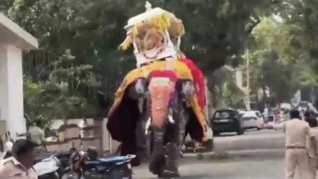 Vídeo: elefante se assusta em festival na Índia e provoca pânico geral