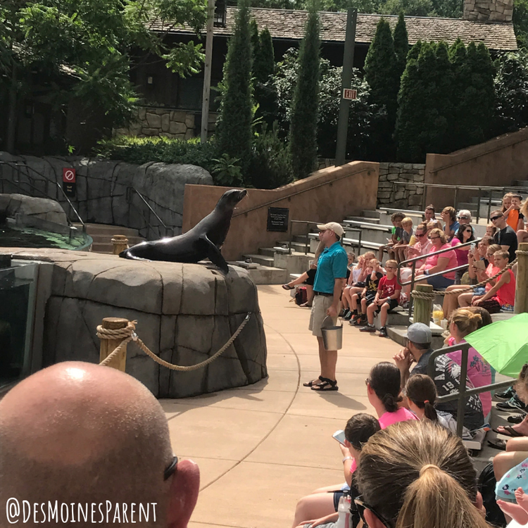 Free fun in Forest Park located in St. Louis, Missouri including the Saint Louis Zoo and Saint Louis Science Center.