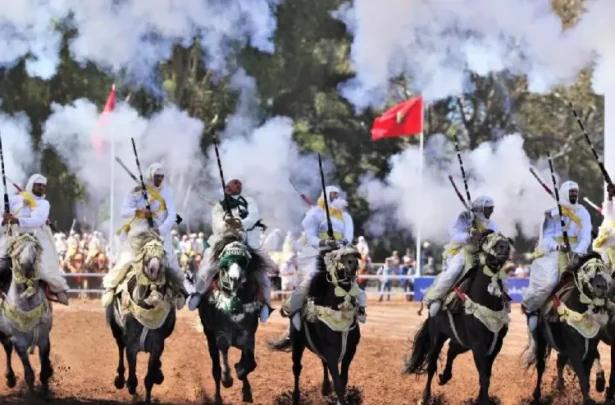 جهة مراكش آسفي تتصدر الجائزة الكبرى للملك محمد السادس في معرض الفرس بالجديدة