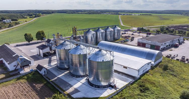 Agronegócio responde por 26,3% dos empregos no Brasil e atinge recorde de 28,4 milhões de ocupados
