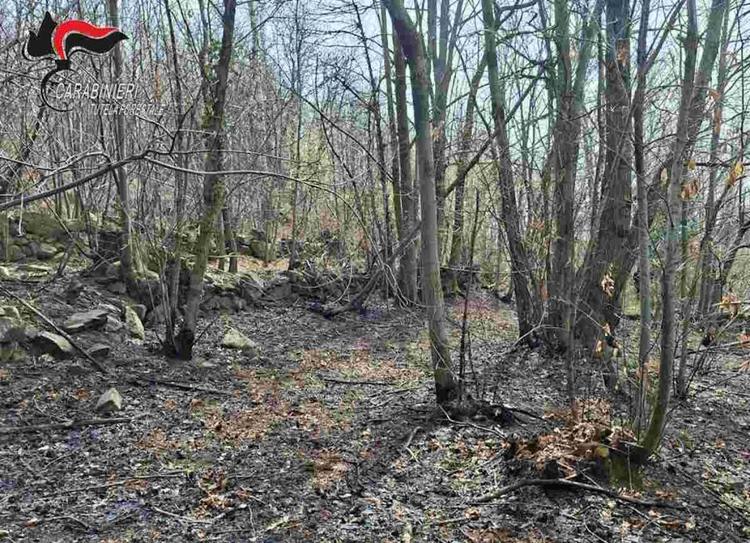 cuorgnè incendio boschivo a nava